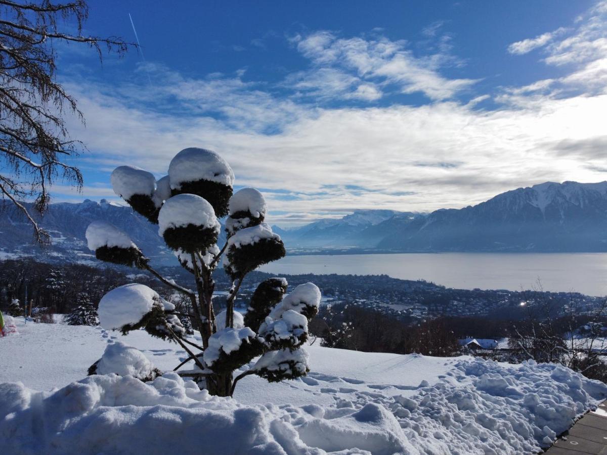 Appartement Moderne Avec Vue Panoramique A Jongny Proche De Montreux Exteriér fotografie